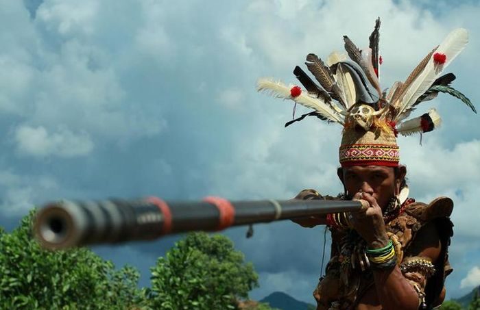 Sumpit Dayak Senjata Tradisional Simbol Perlawanan Budaya Kalimantan