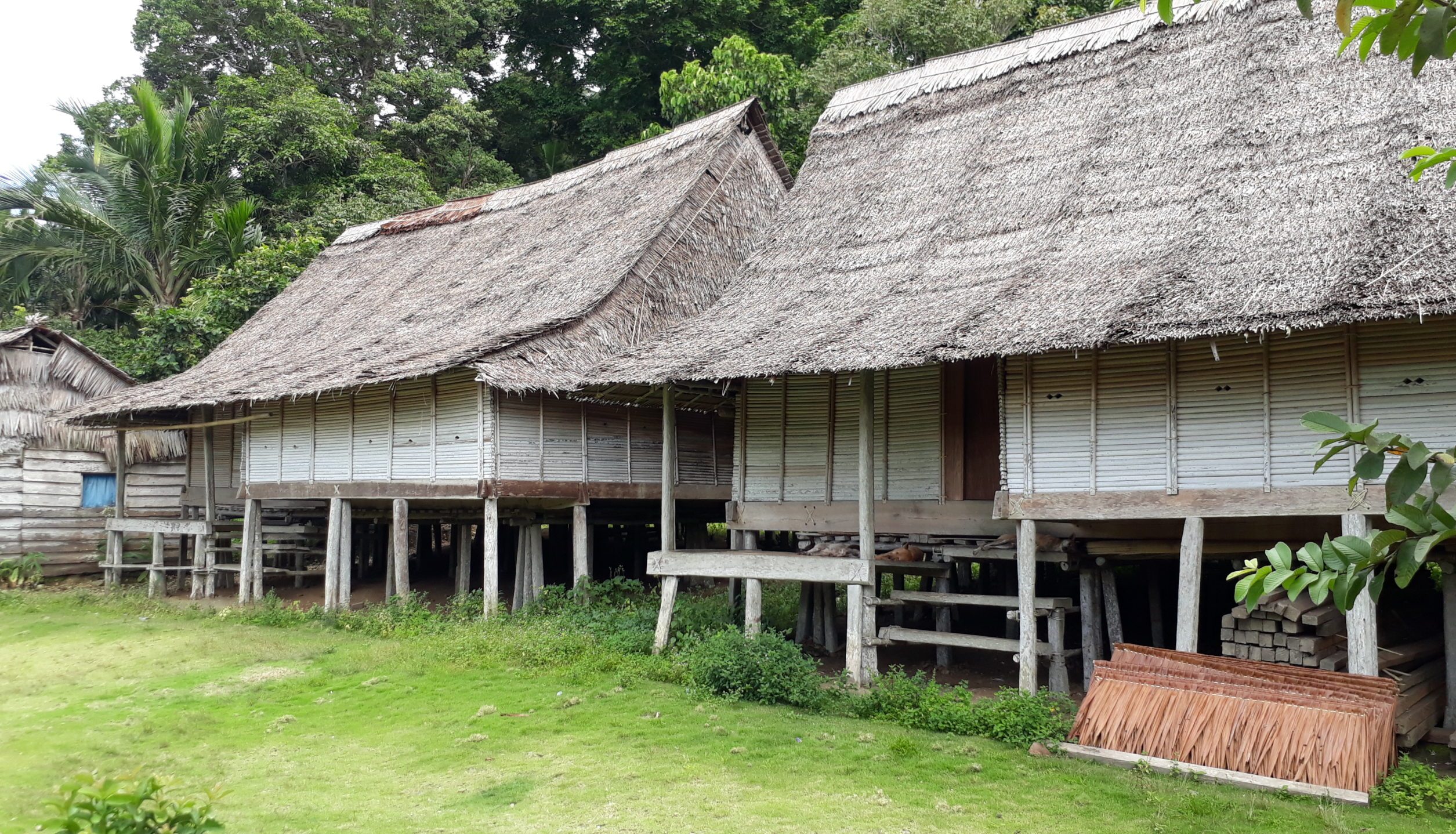 Kearifan Lokal Suku Huaulu Warisan Maluku